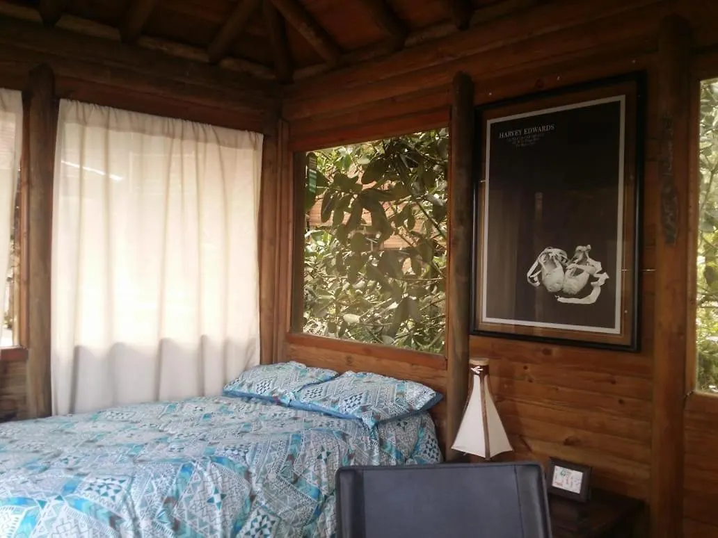 Patito Feo Hostel Medellin