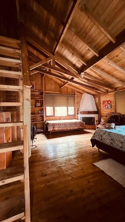 Patito Feo Hostel Guest house