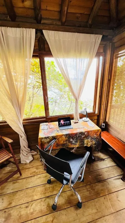 Patito Feo Hostel كولومبيا